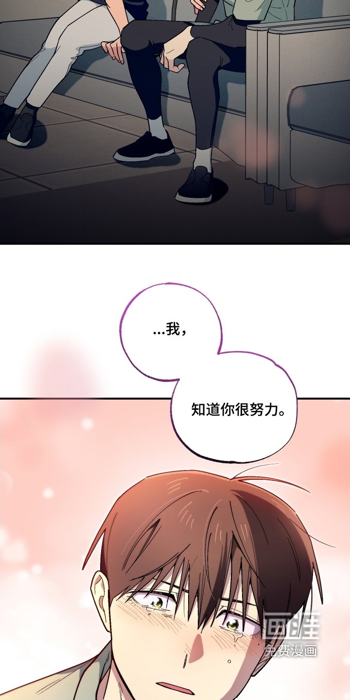 第113章：都是我的错