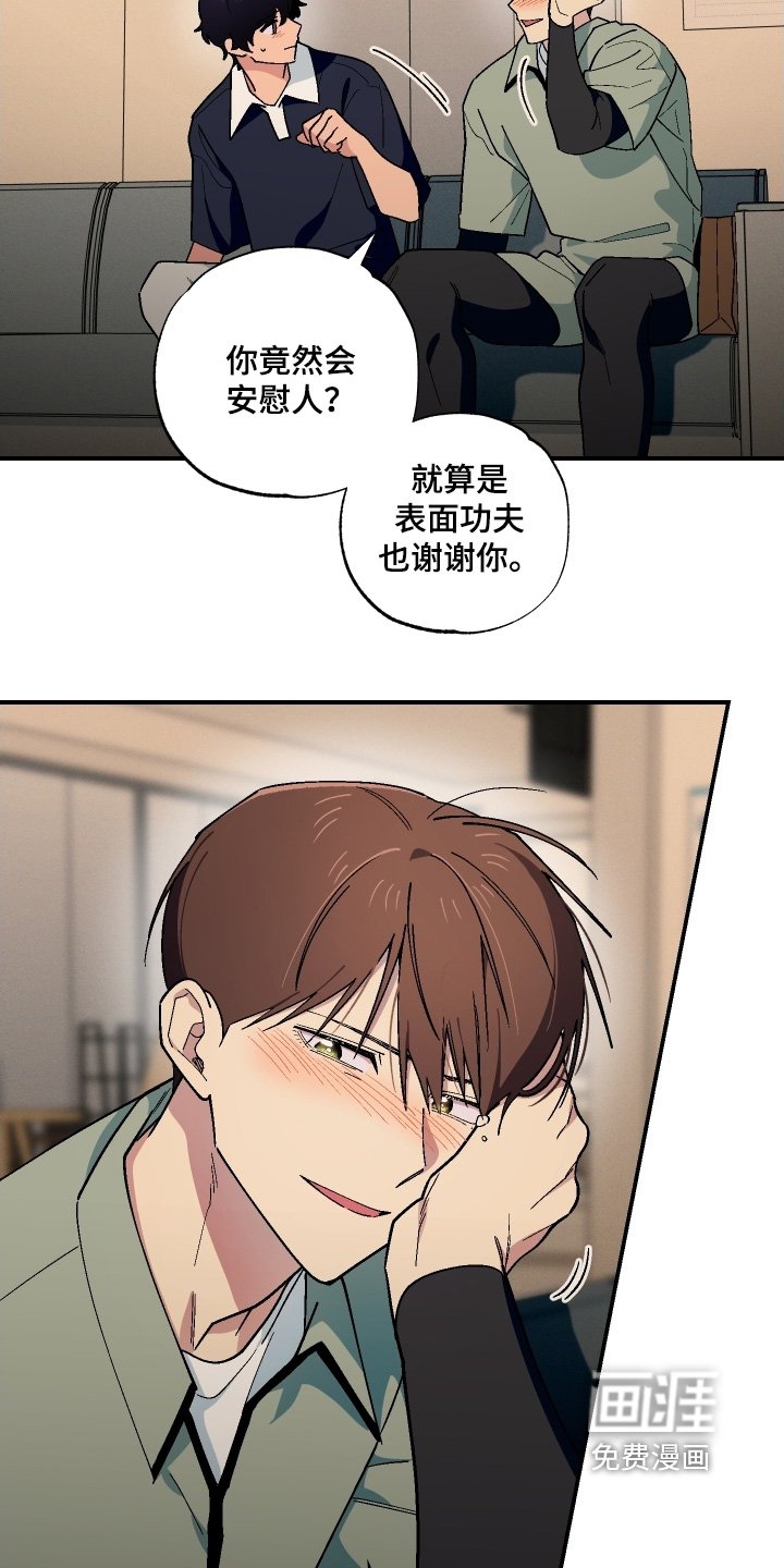 第113章：都是我的错