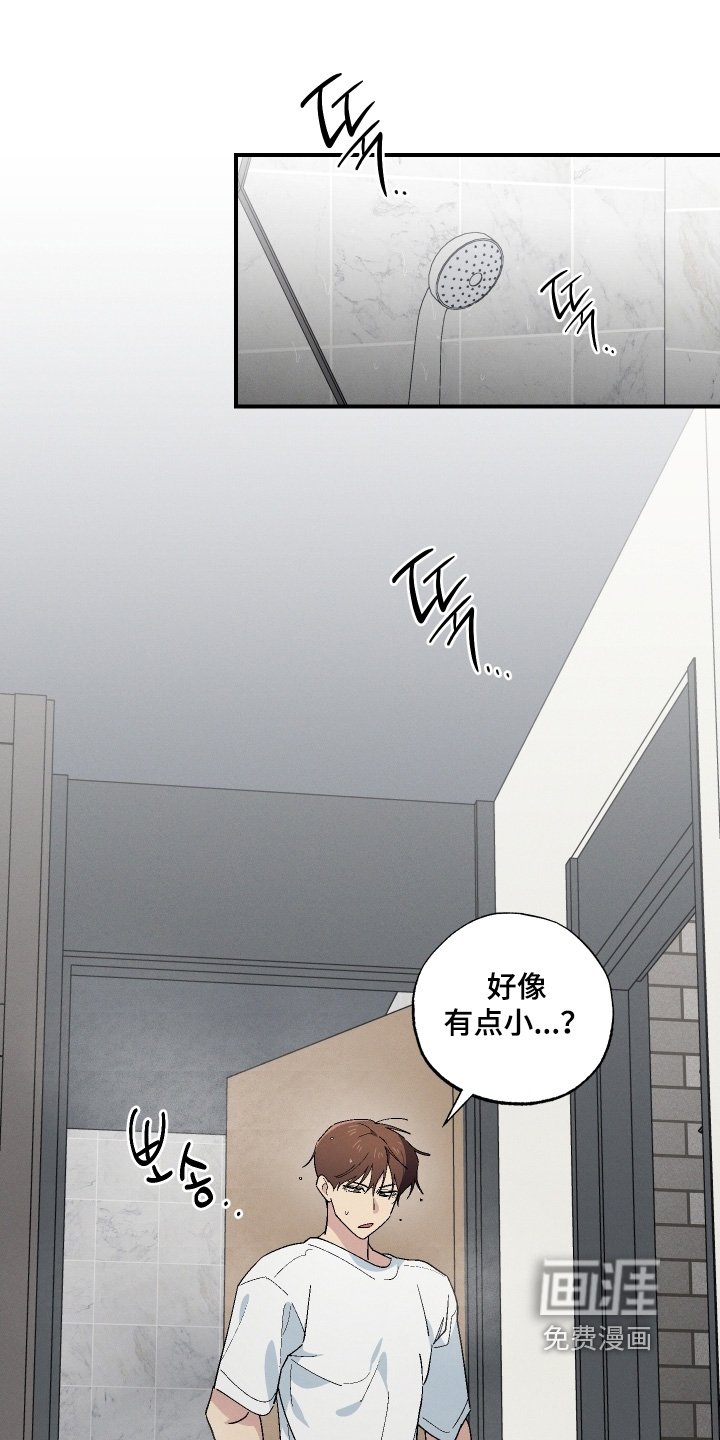 第116章：干嘛跳出来