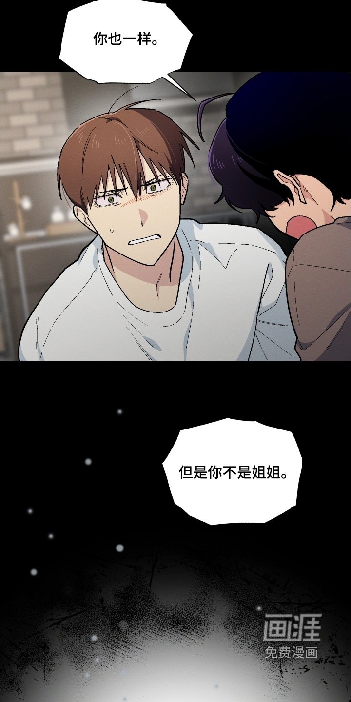 第117章：只有姐姐