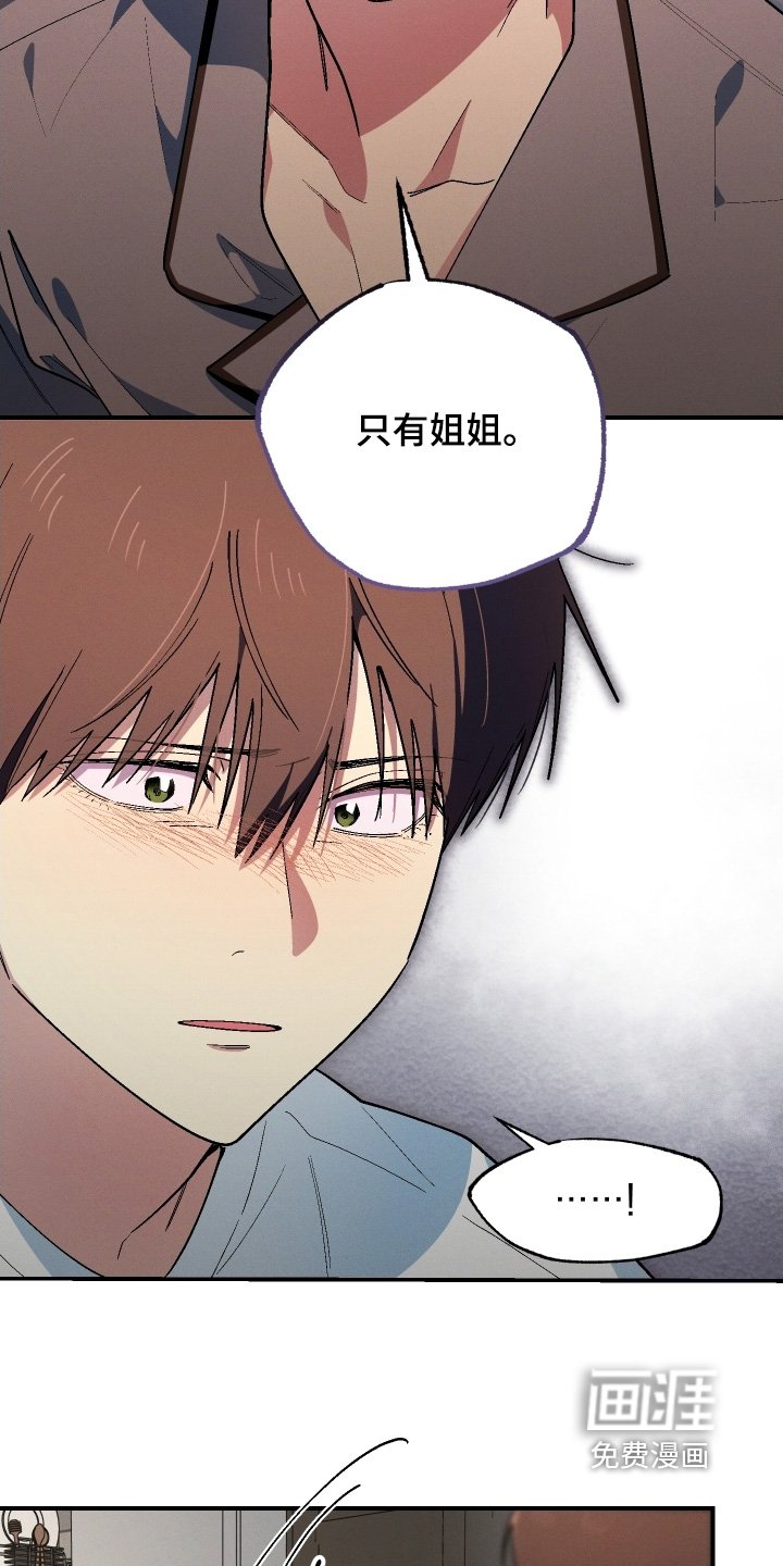 第117章：只有姐姐