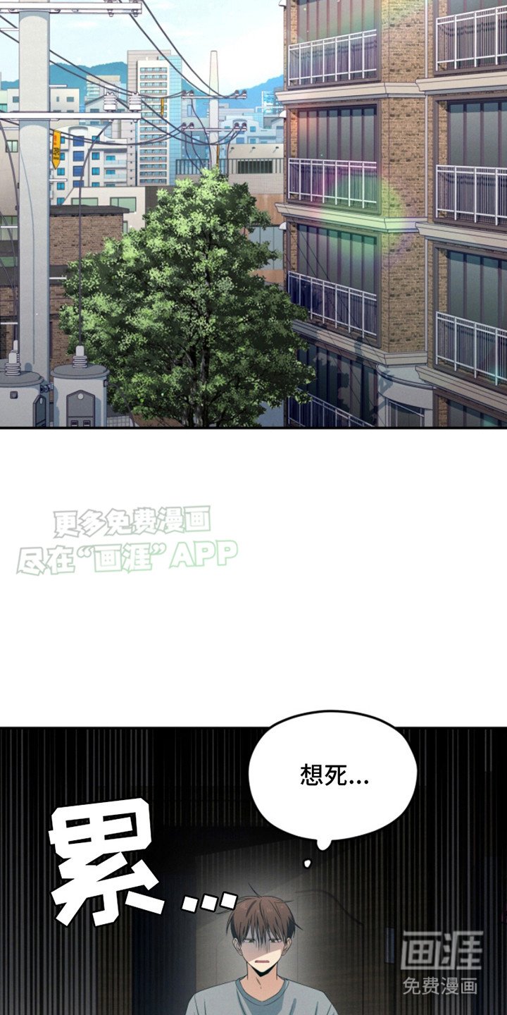 第12章：做梦 