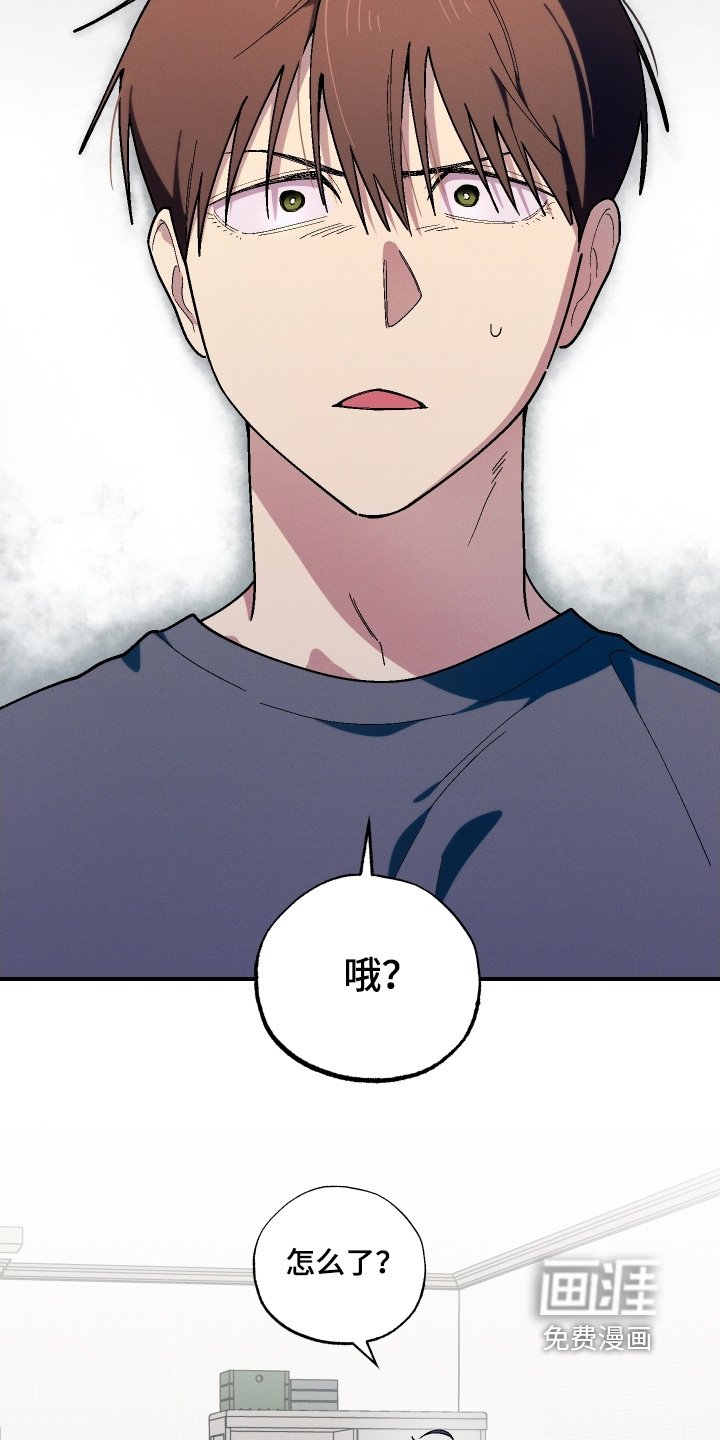第120章：只画你