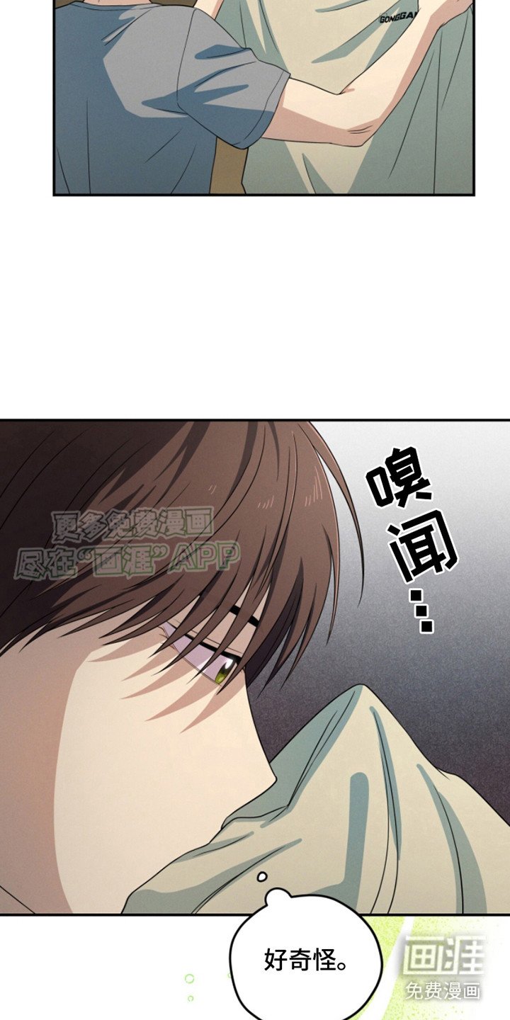 第13章：要疯了