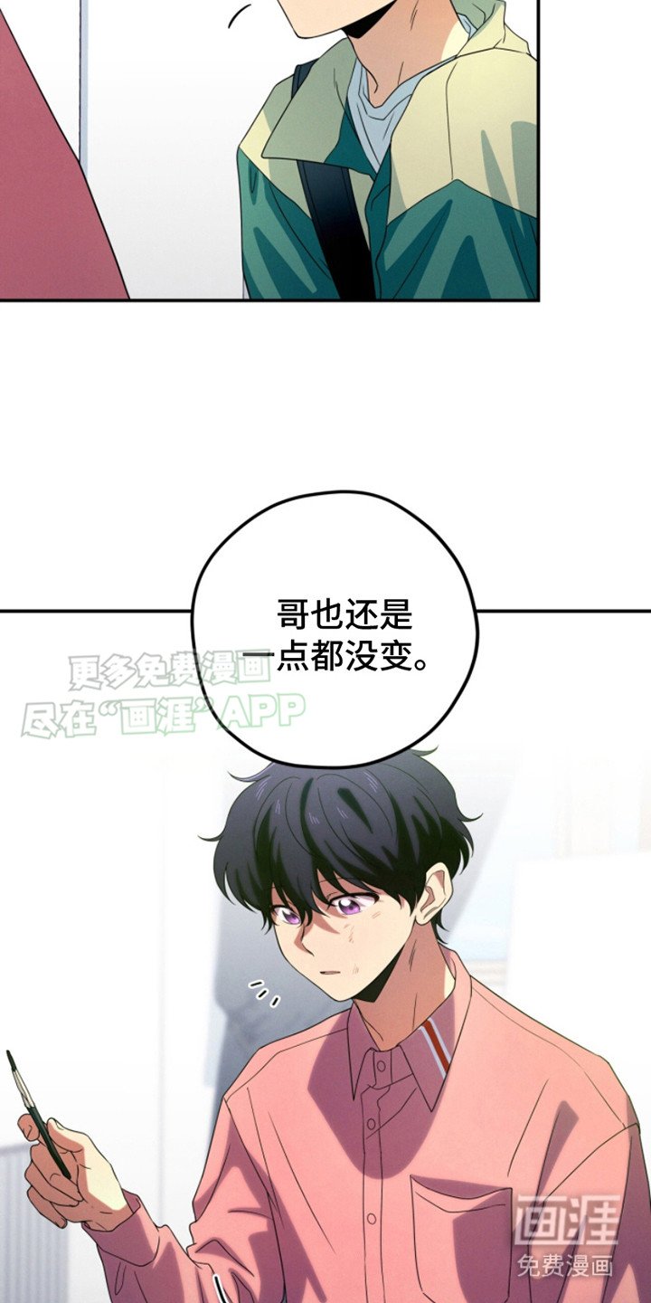 第14章：画像