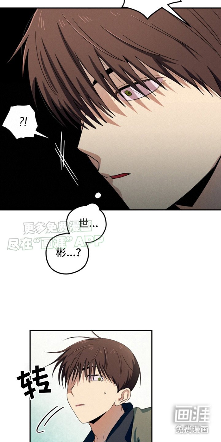 第19章：偶遇