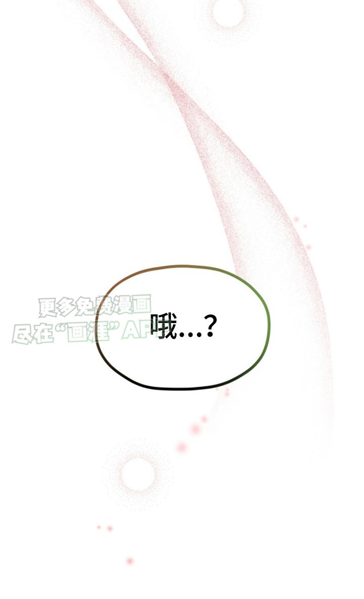 第19章：偶遇