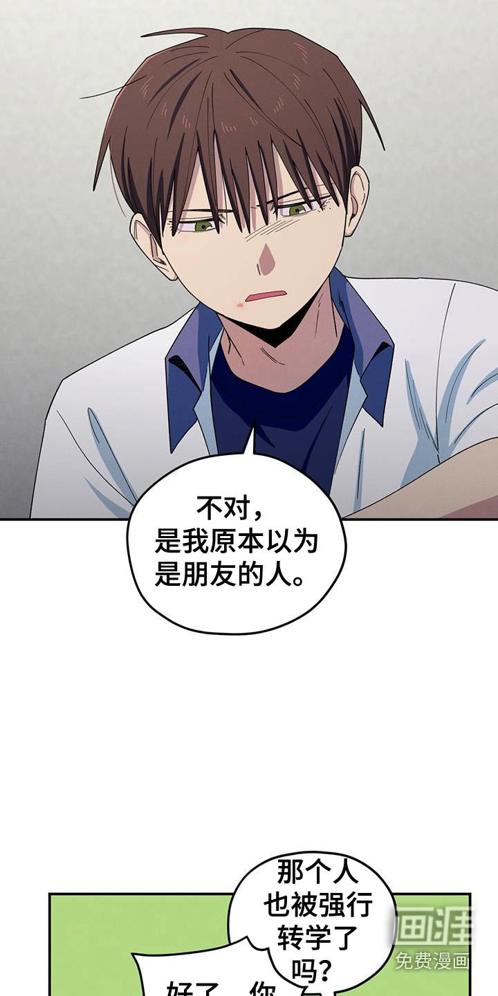 第65章：因为蠢