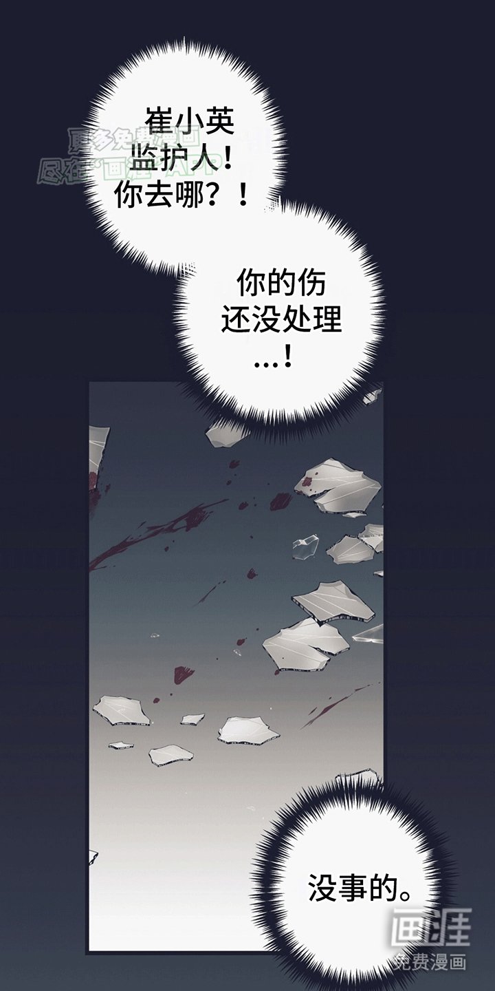 第10章：强行闯入