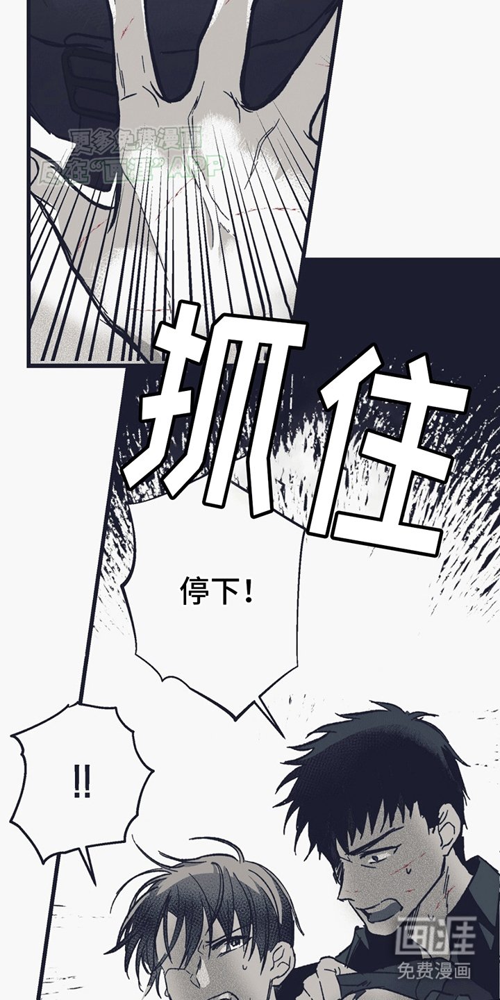 第14章：匕首