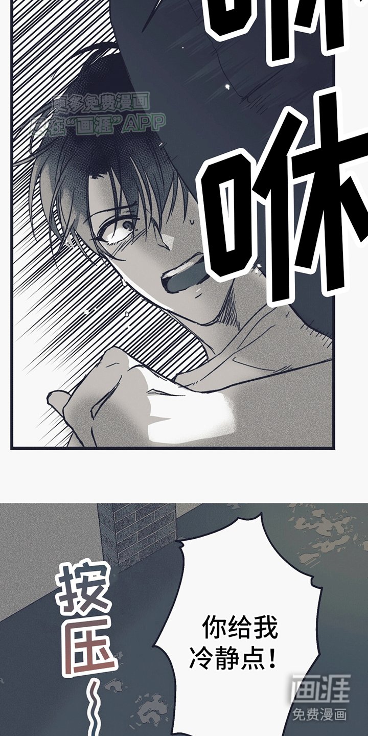第14章：匕首