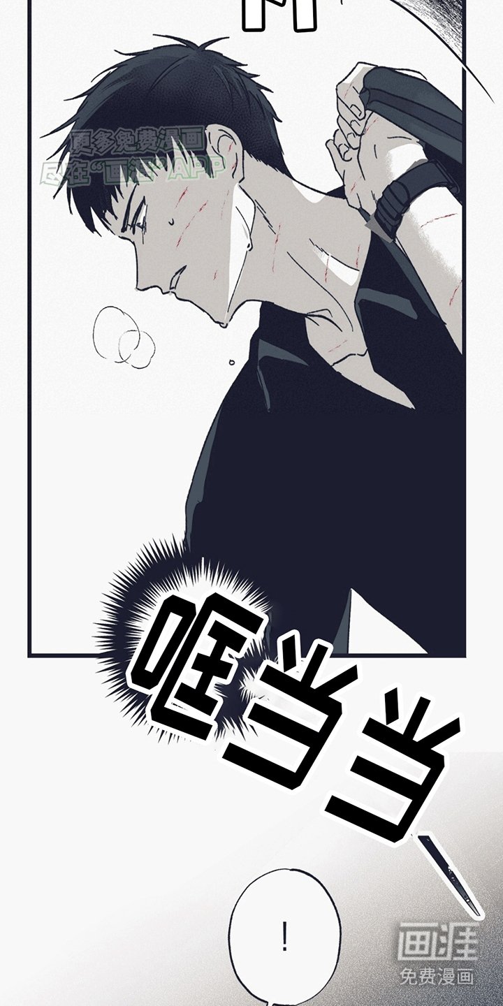第14章：匕首