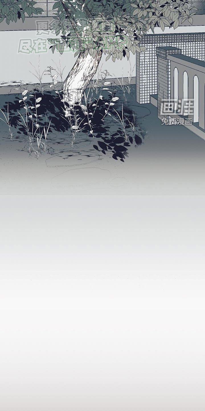 第17章：目标是我