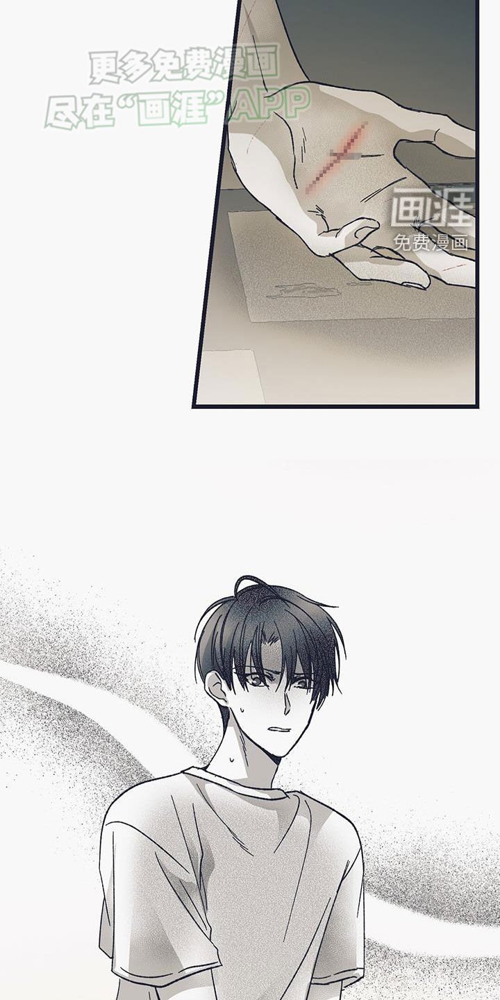 第19章：就试这一次