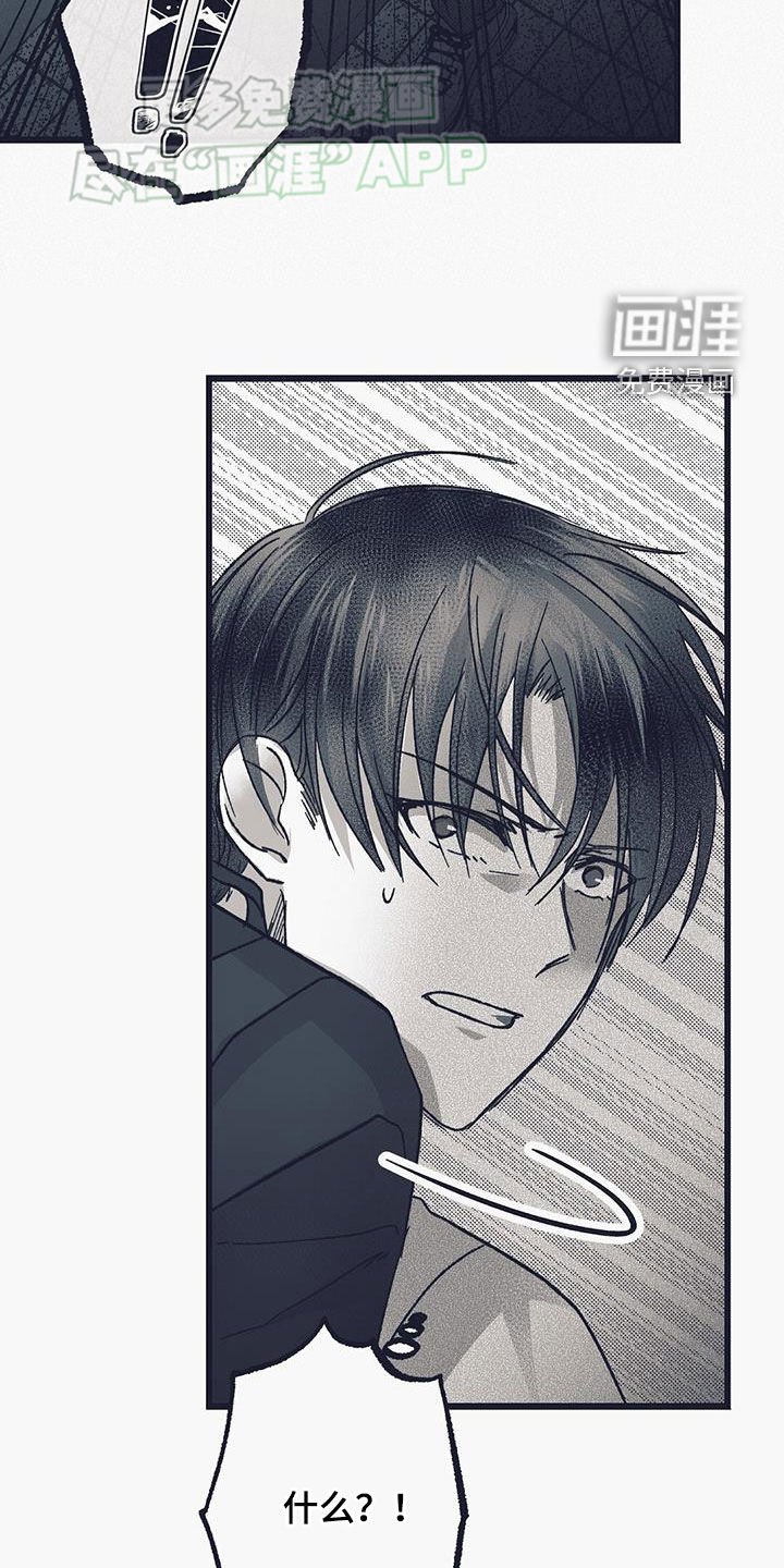 第19章：就试这一次