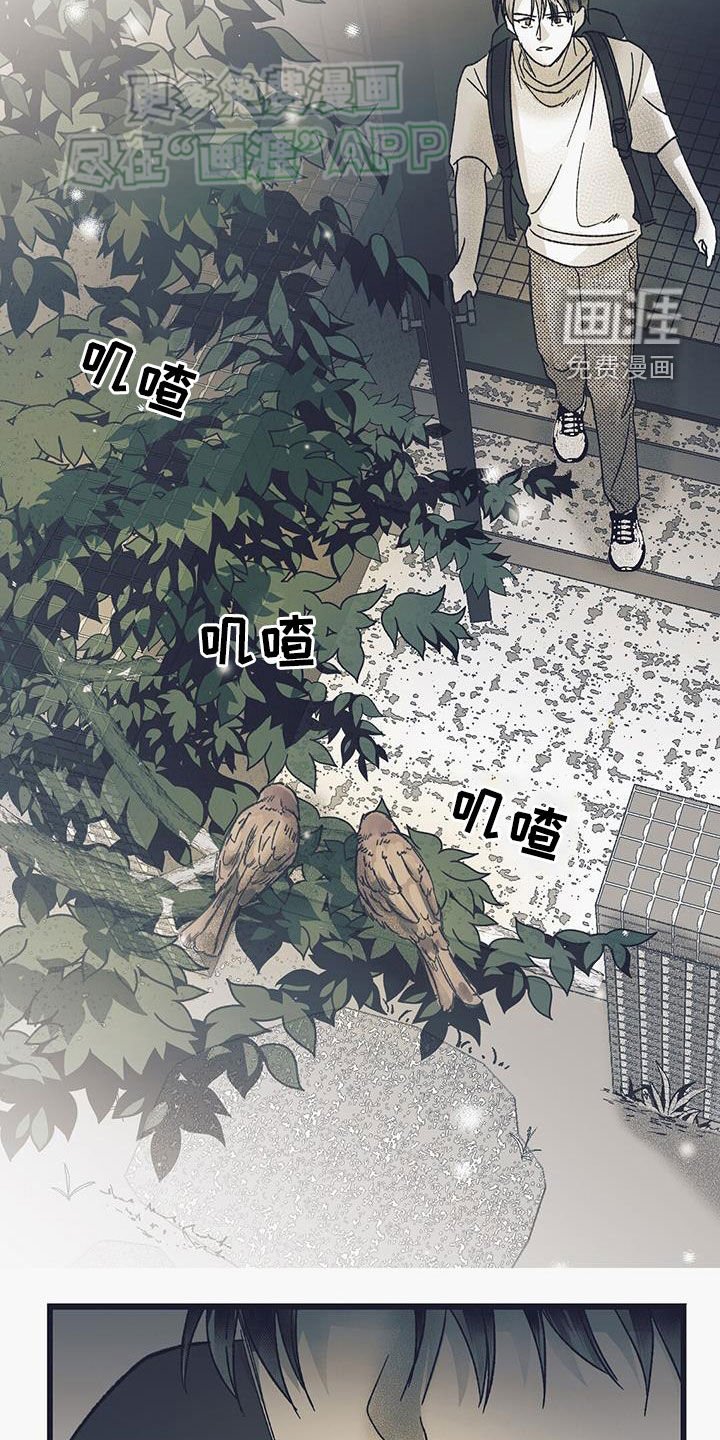 第19章：就试这一次