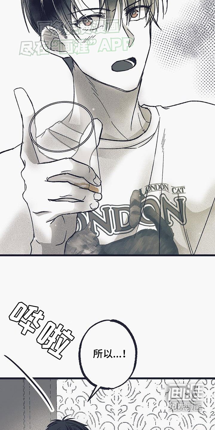 第20章：谢谢你