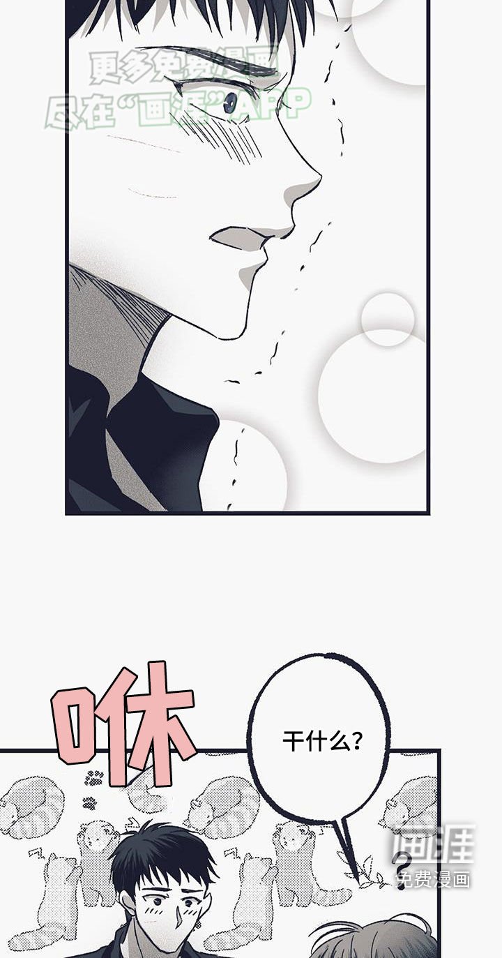 第20章：谢谢你