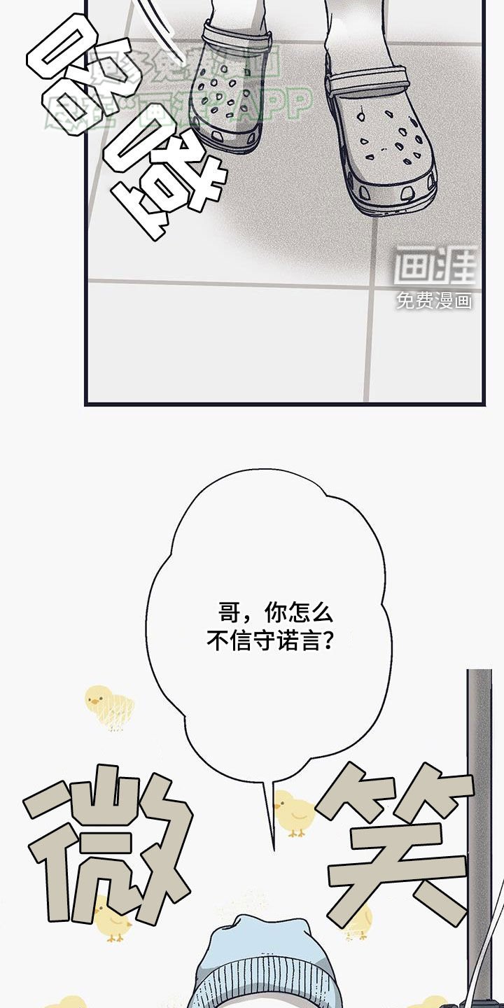 第22章：辛格