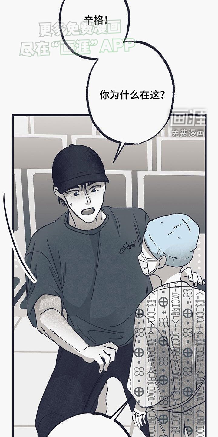 第22章：辛格
