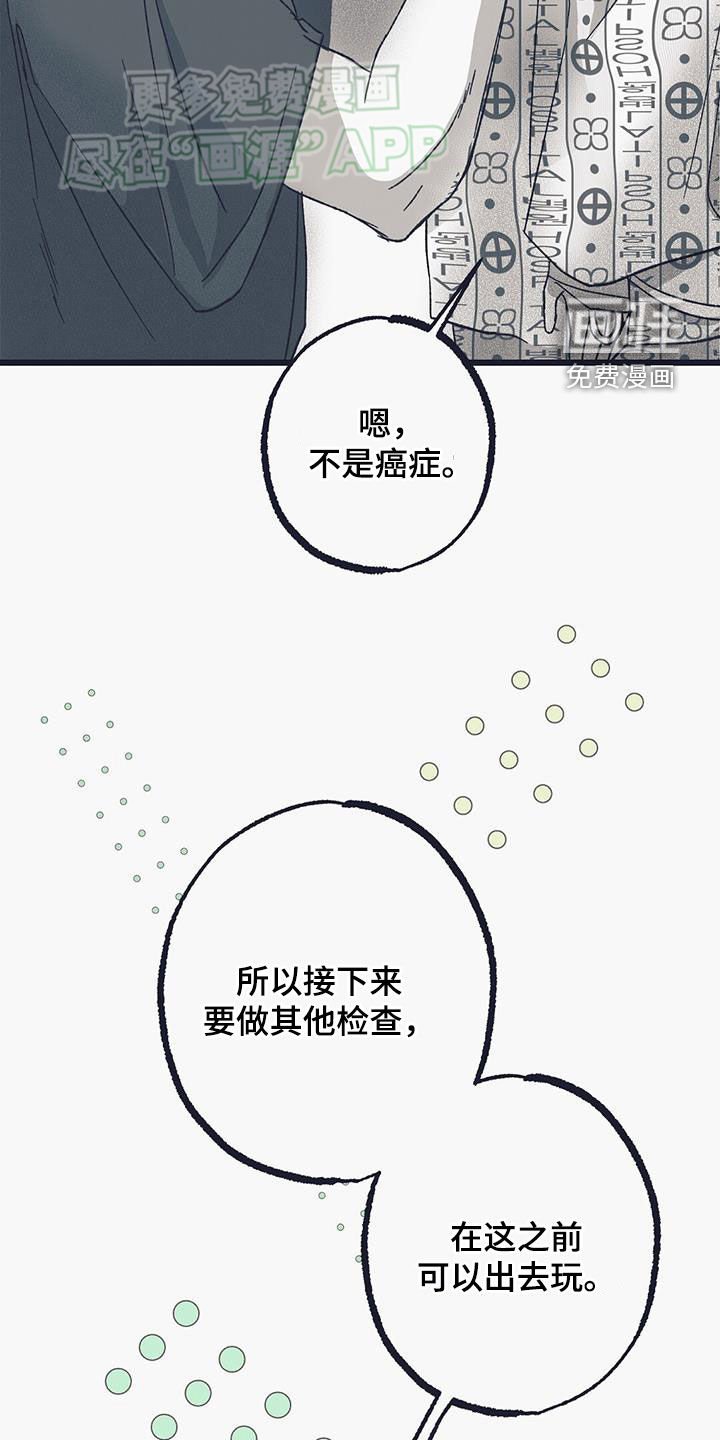 第22章：辛格