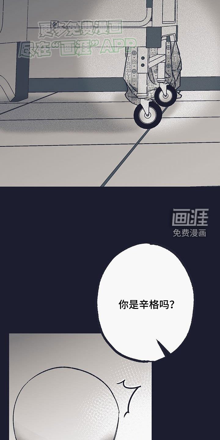 第22章：辛格