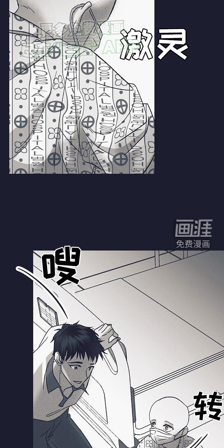 第22章：辛格