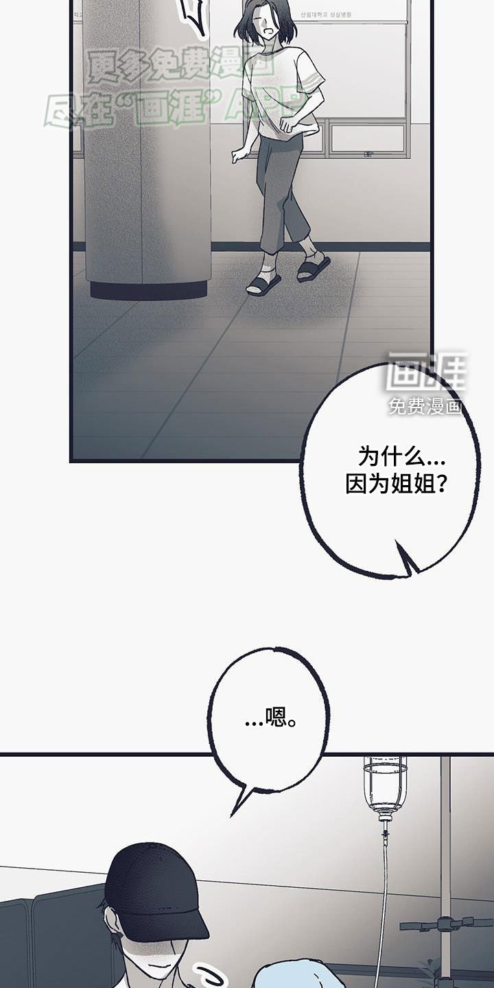 第22章：辛格