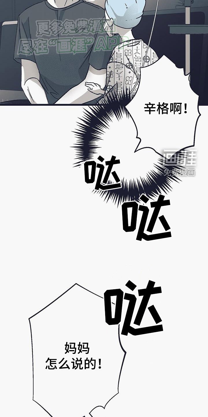 第22章：辛格