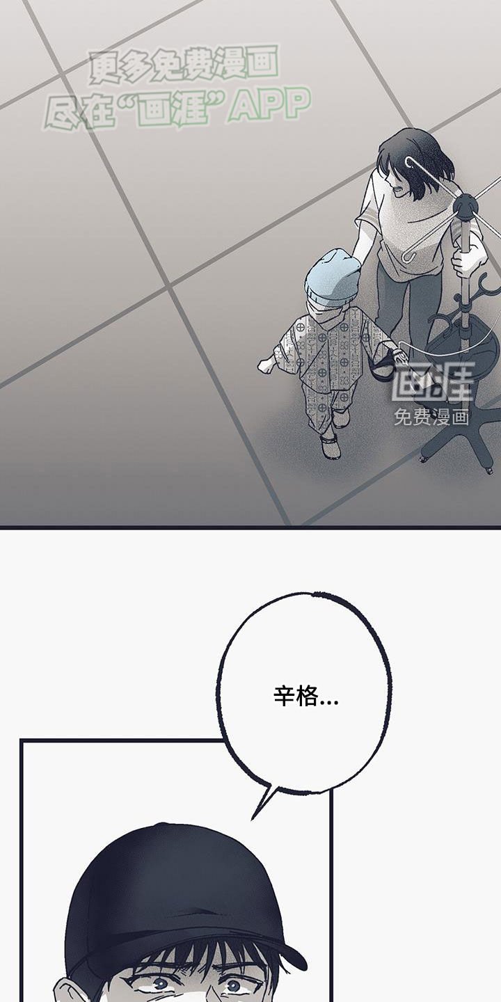 第22章：辛格
