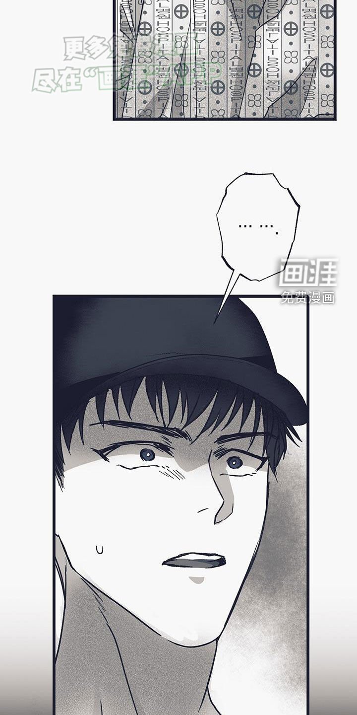 第22章：辛格