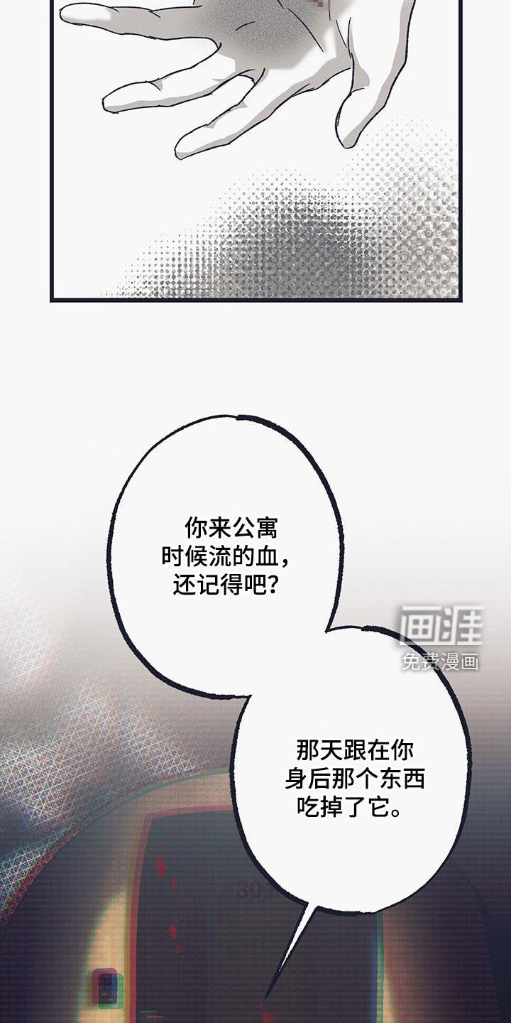 第26章：开眼