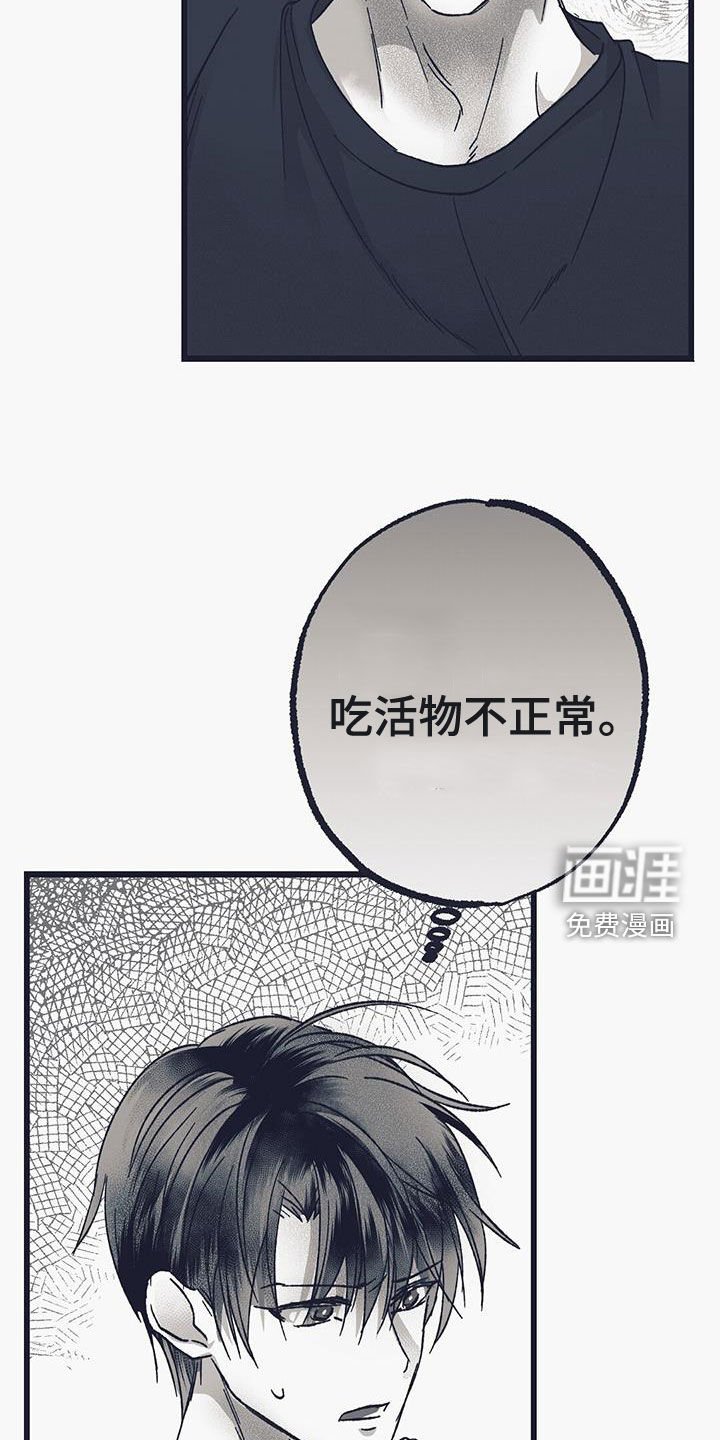 第26章：开眼