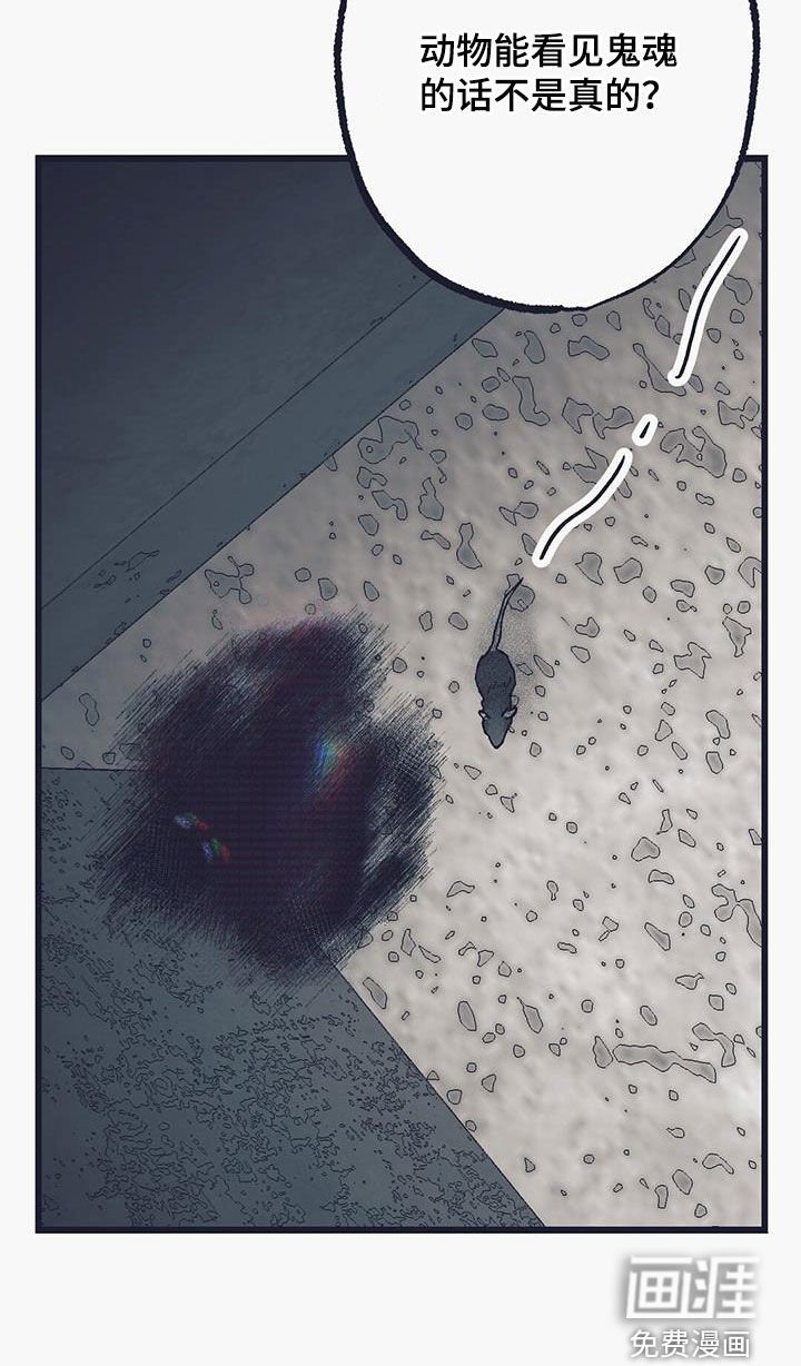 第27章：阴魂