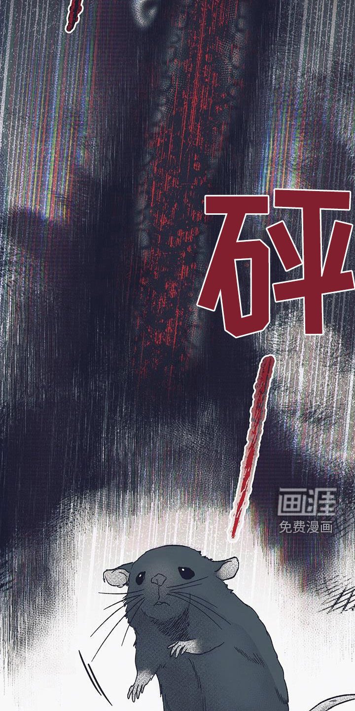 第28章：要我抱抱你吗