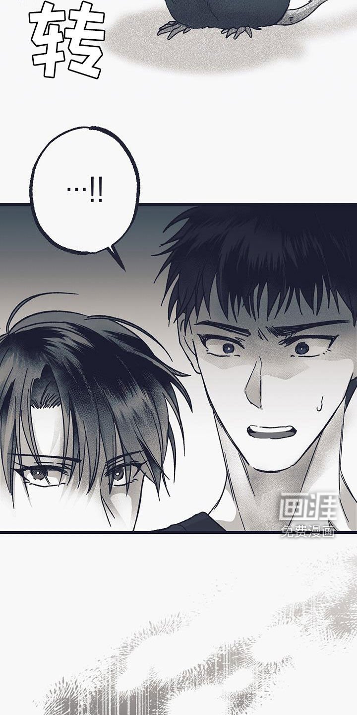 第28章：要我抱抱你吗