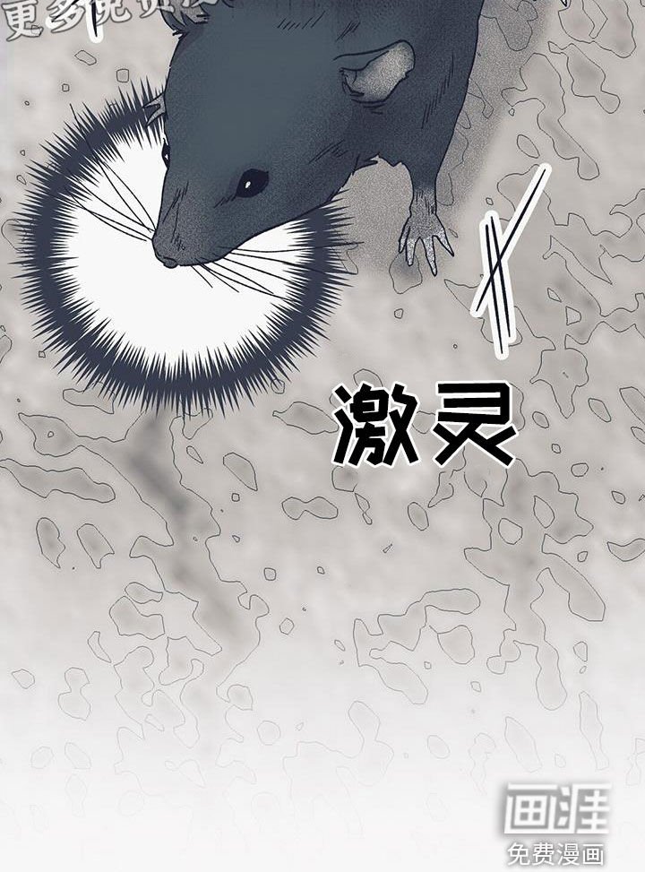第28章：要我抱抱你吗