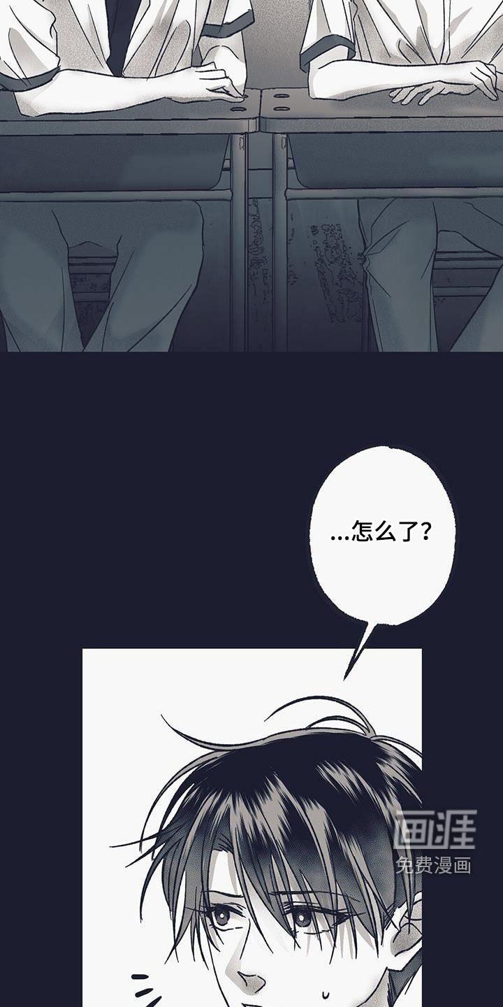 第37章：朋友