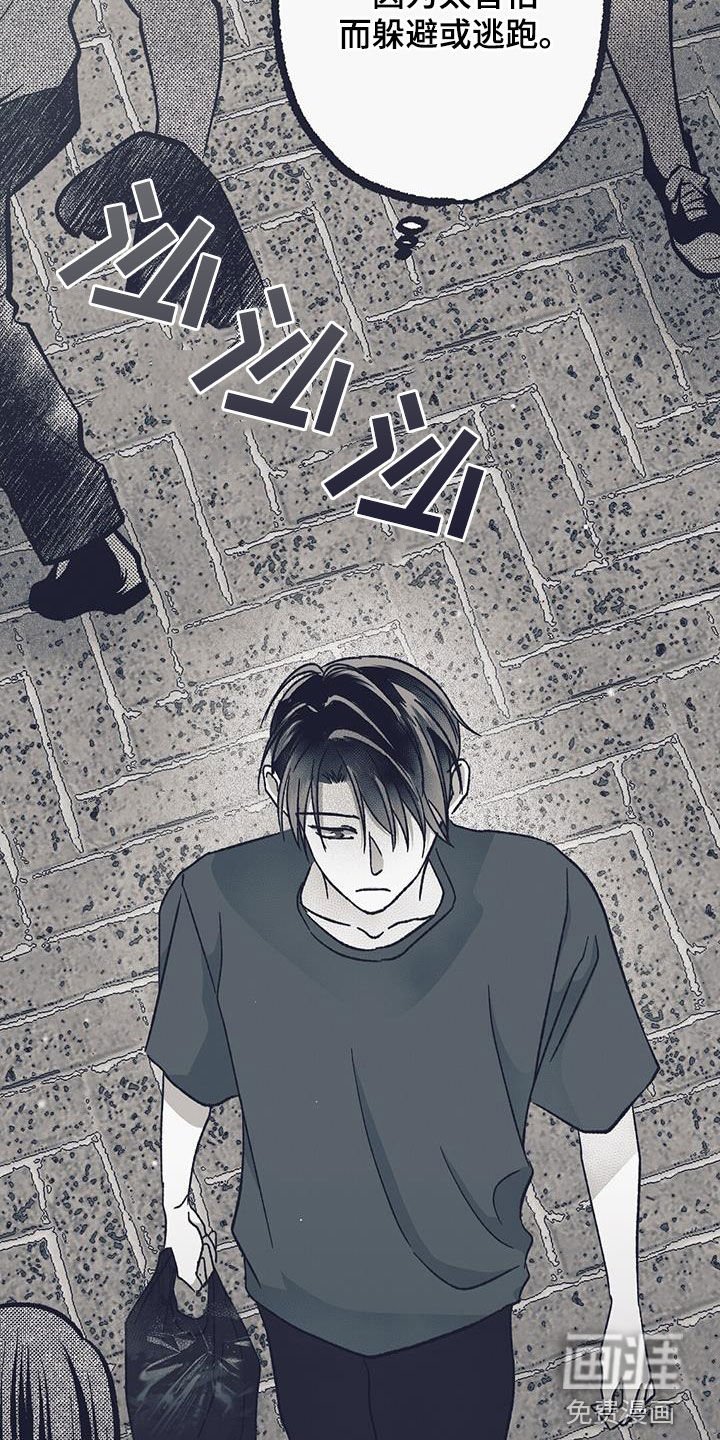 第41章：偷车