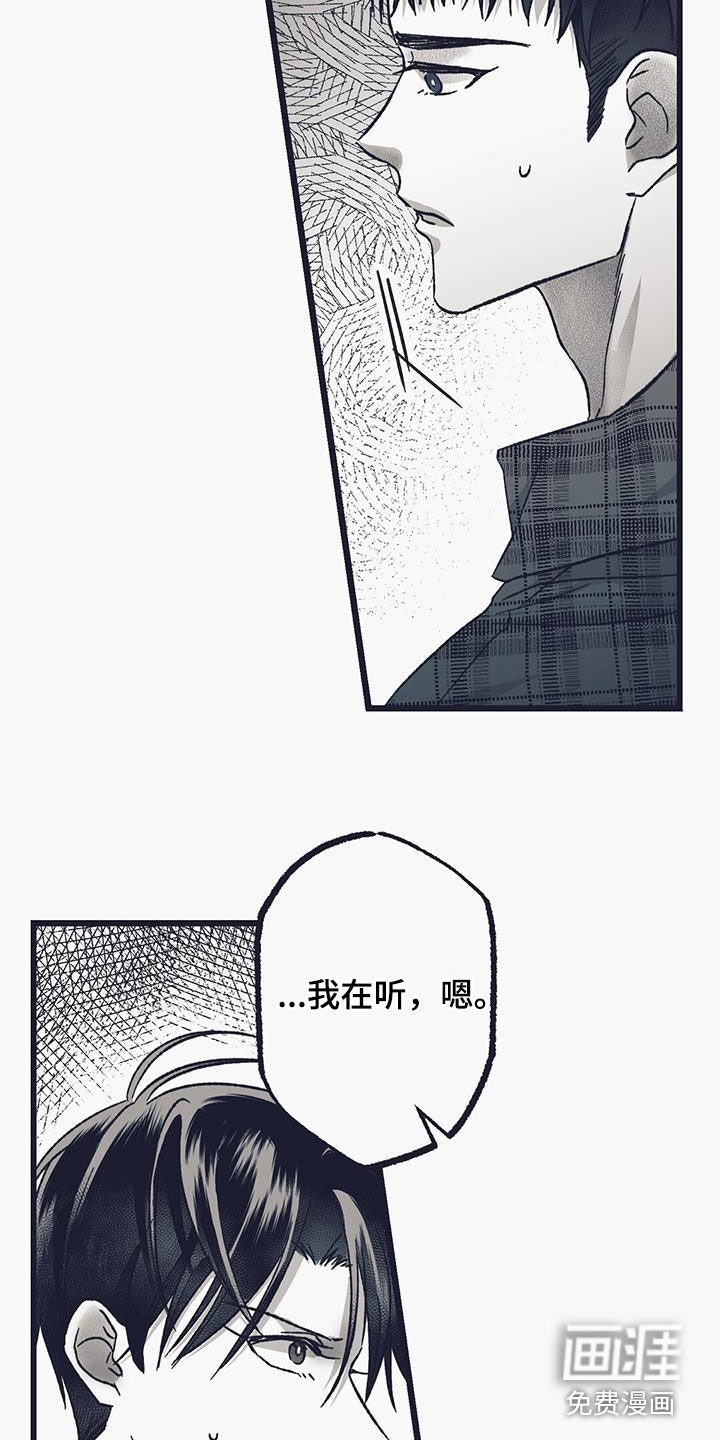 第41章：偷车
