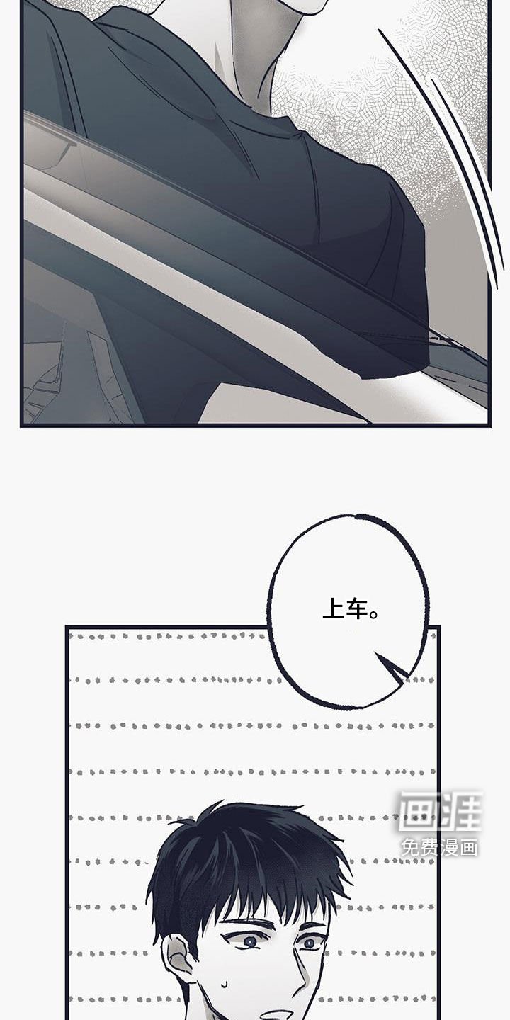 第41章：偷车