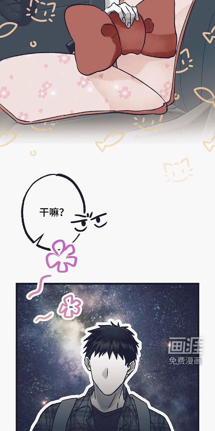 第41章：偷车