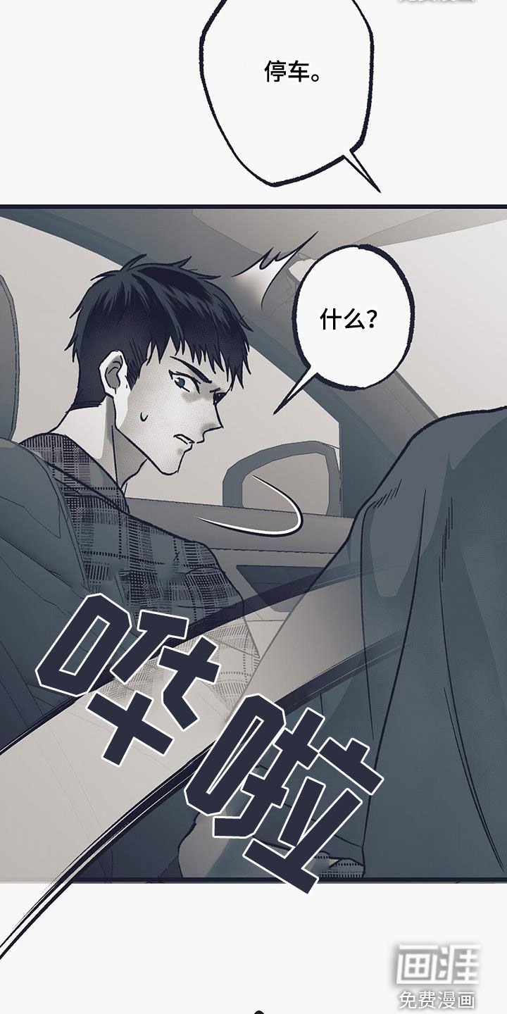 第41章：偷车