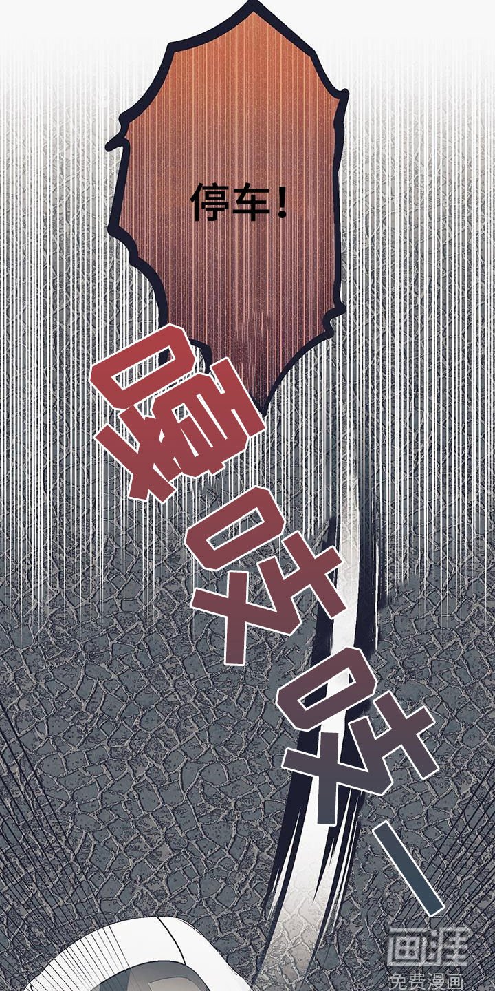 第41章：偷车