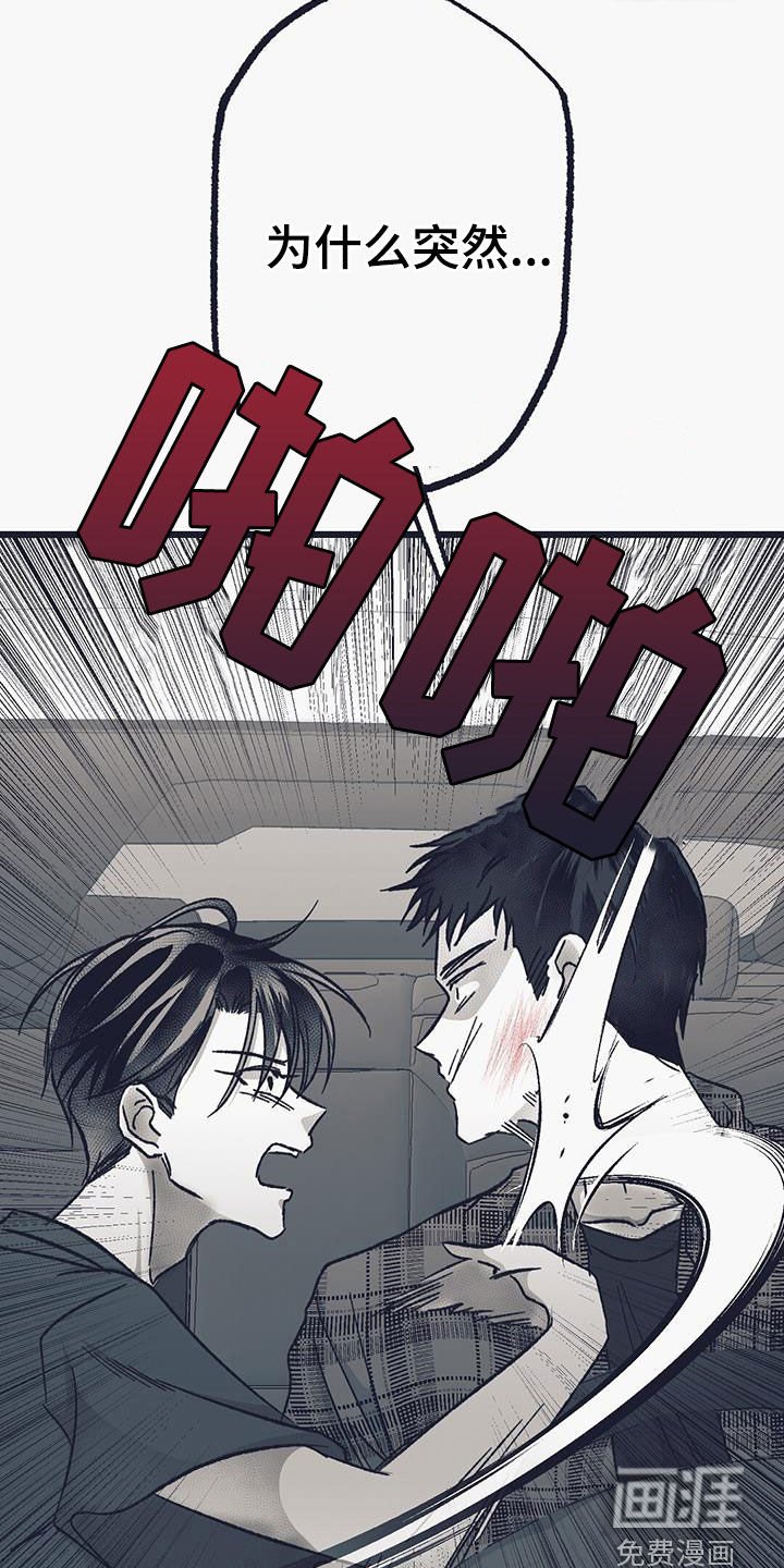 第41章：偷车
