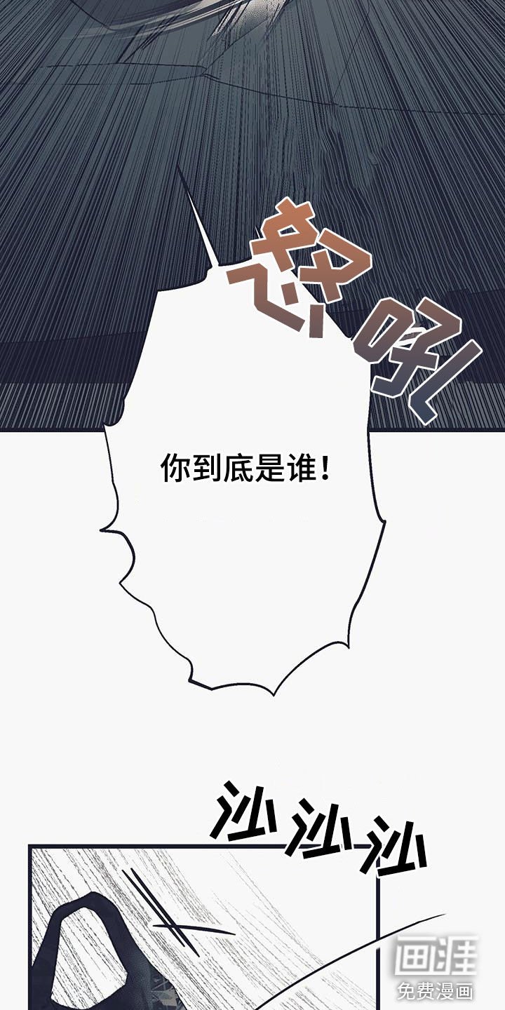 第41章：偷车