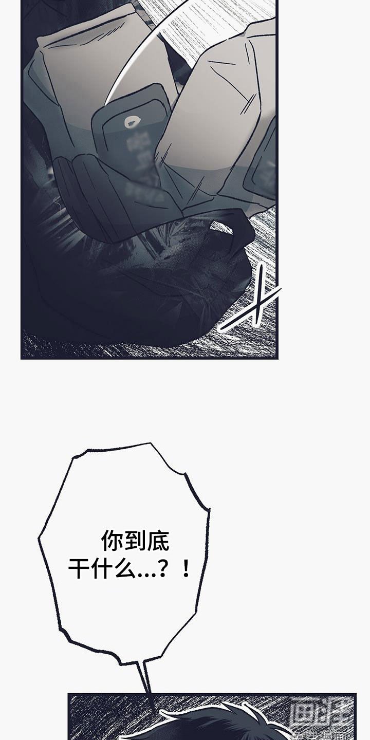 第41章：偷车