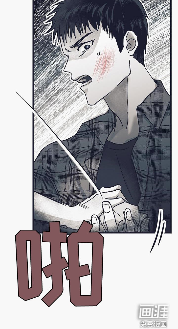第41章：偷车
