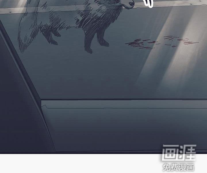 第43章：已经不是普通人