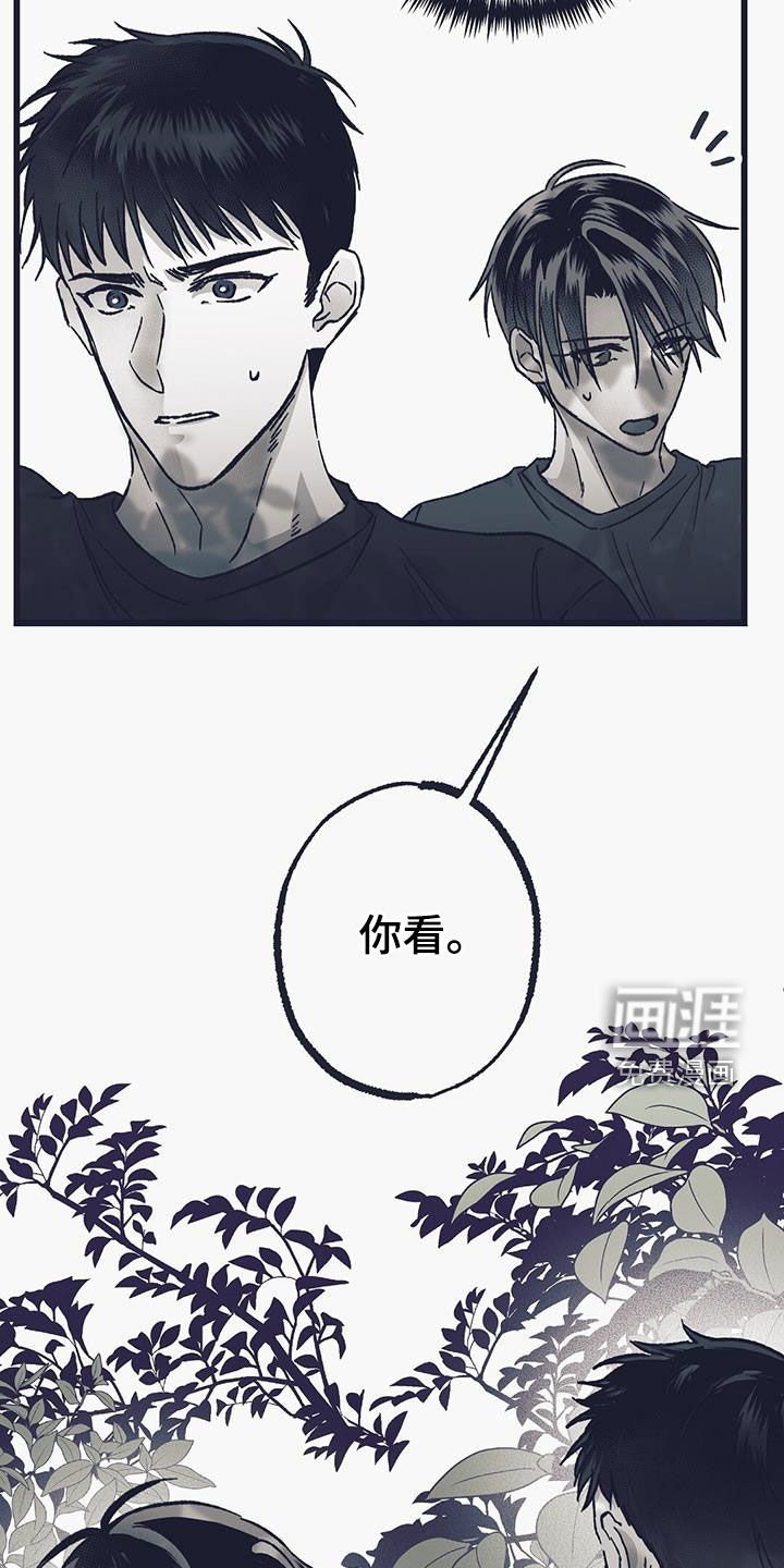 第49章：人工村
